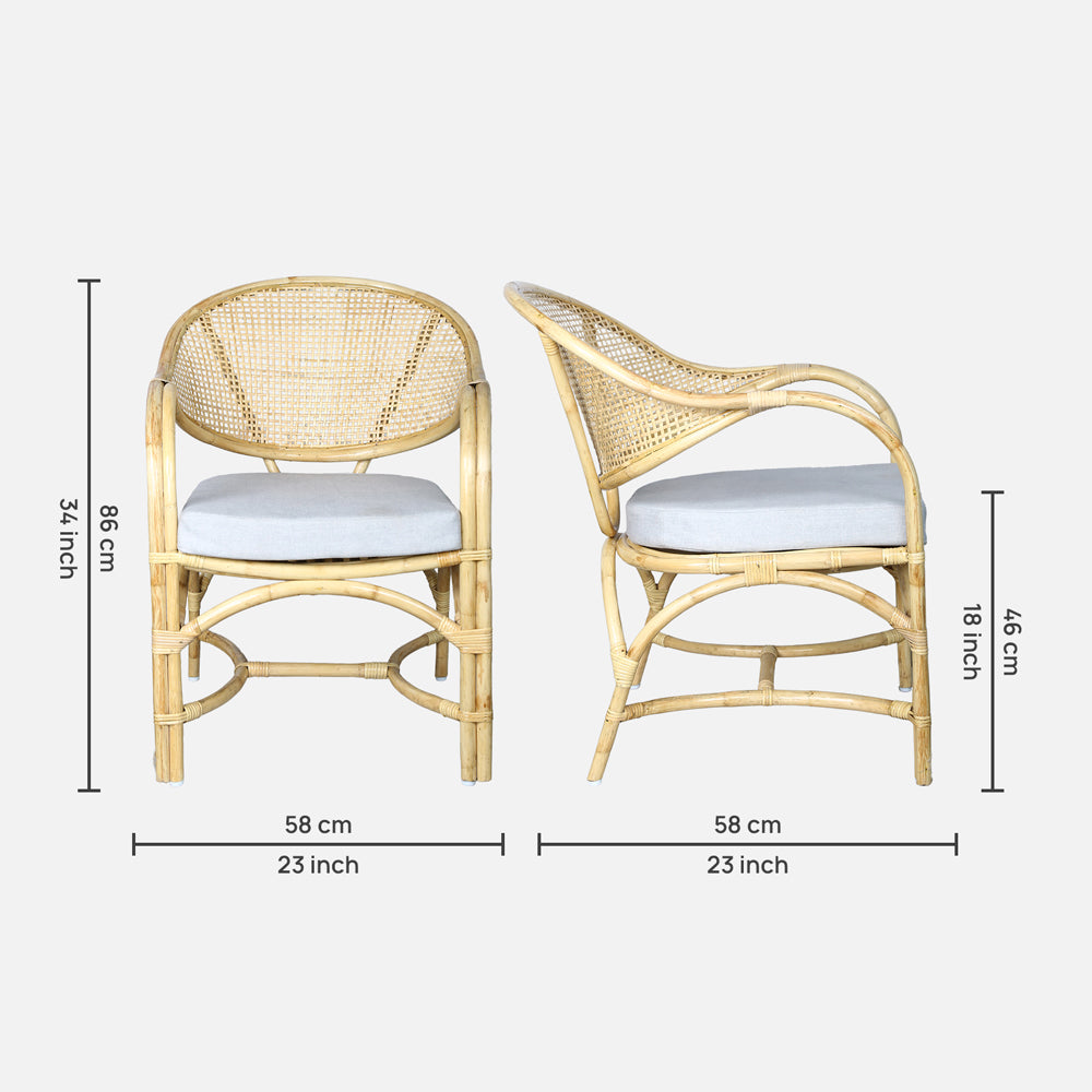 Nature's Embrace Cane Armchair