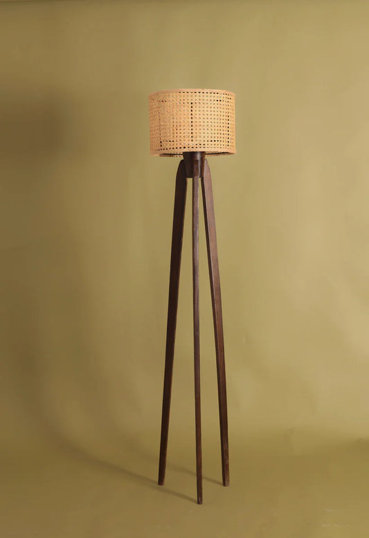 Tripod Cane Floor Lamp