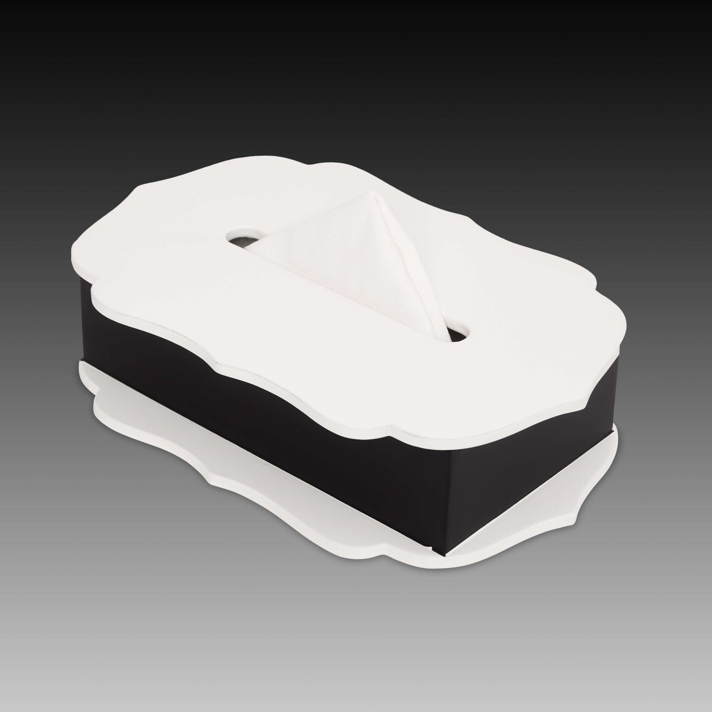 The Silhoutte Tissue Box