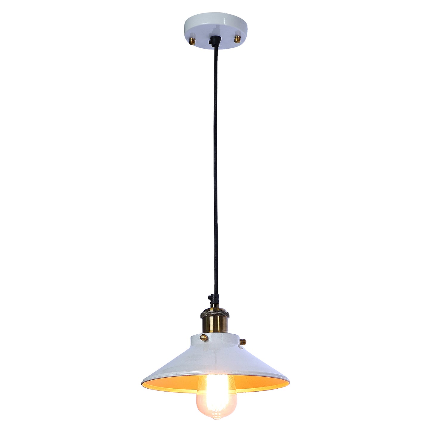 Nora Metal Single Hanging Light