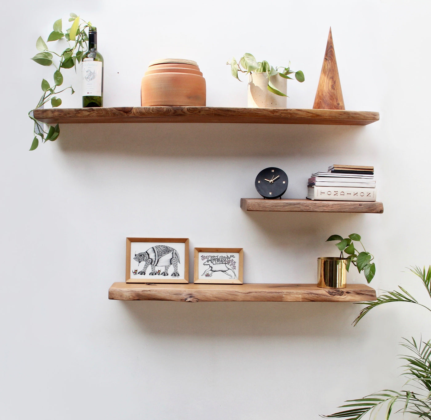 Organic Shelves