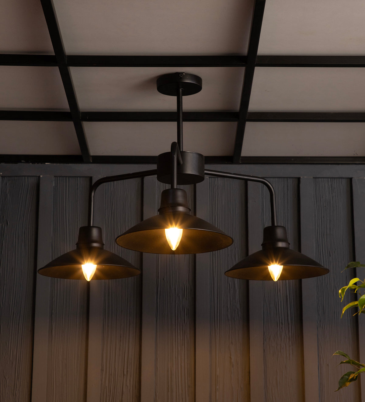 The Edward Chandelier