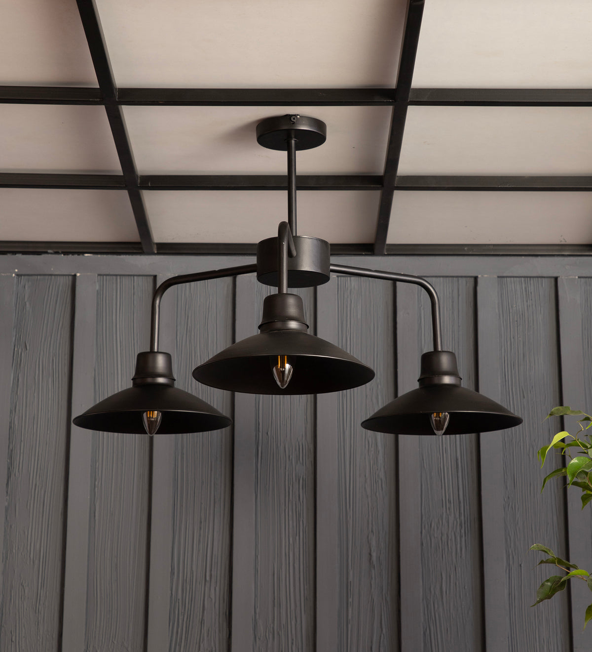 The Edward Chandelier