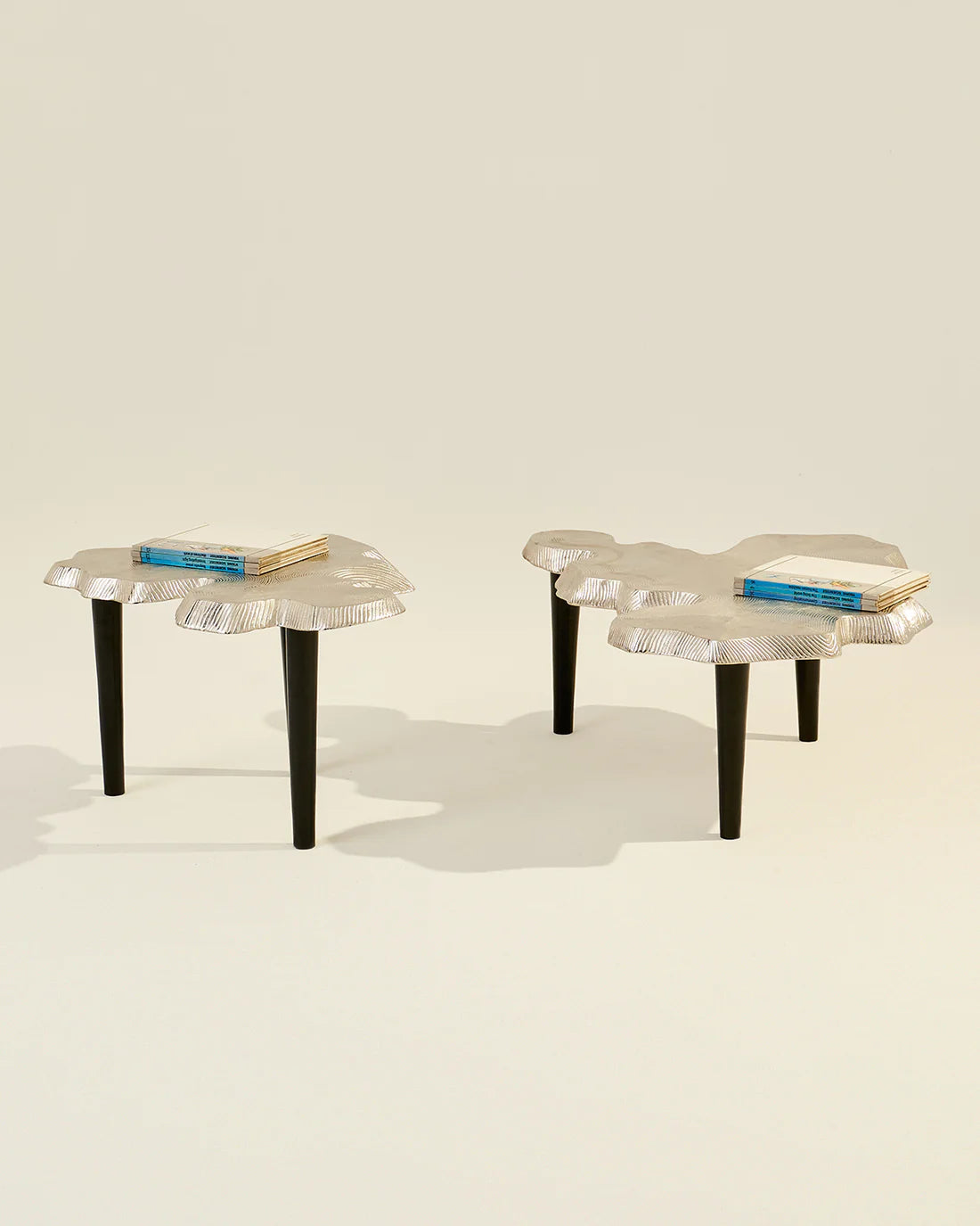 Amorphous Coffee Table - Set of 2