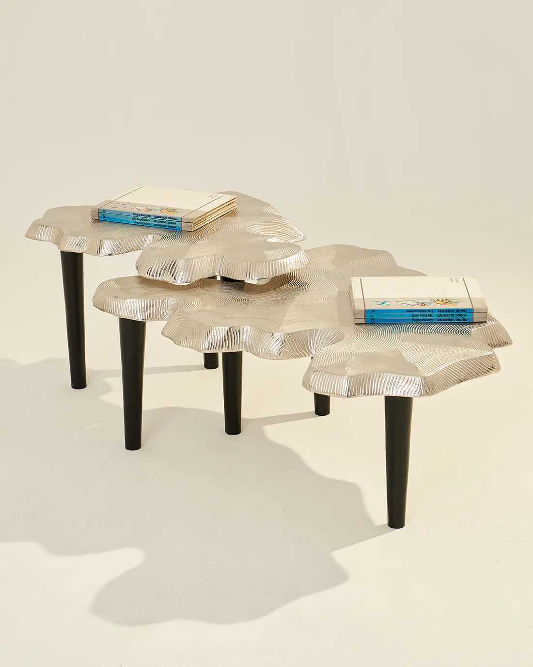 Amorphous Coffee Table - Set of 2