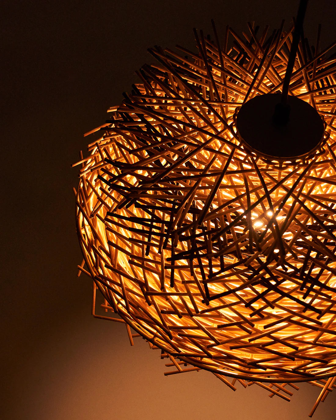 Bird's Nest Light