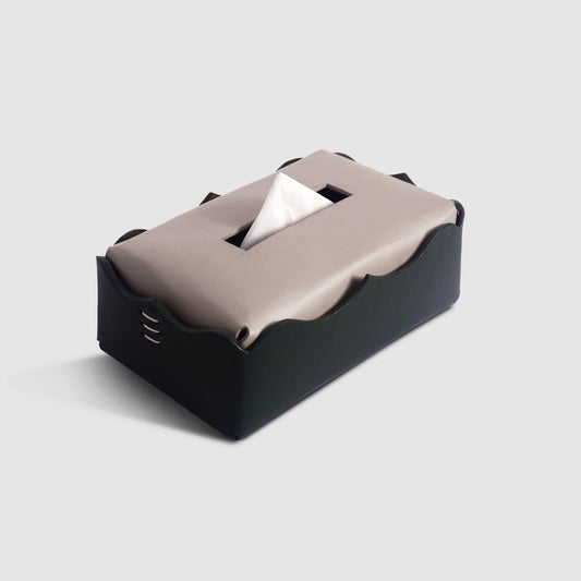 The Dual Base Tissue Box